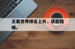 星空体育官网-王磊世界排名上升，状态回暖。