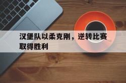 星空体育下载-汉堡队以柔克刚，逆转比赛取得胜利